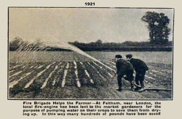 watering crops