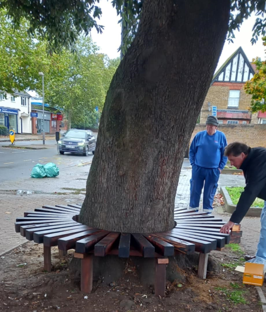 Elmwood bench 24