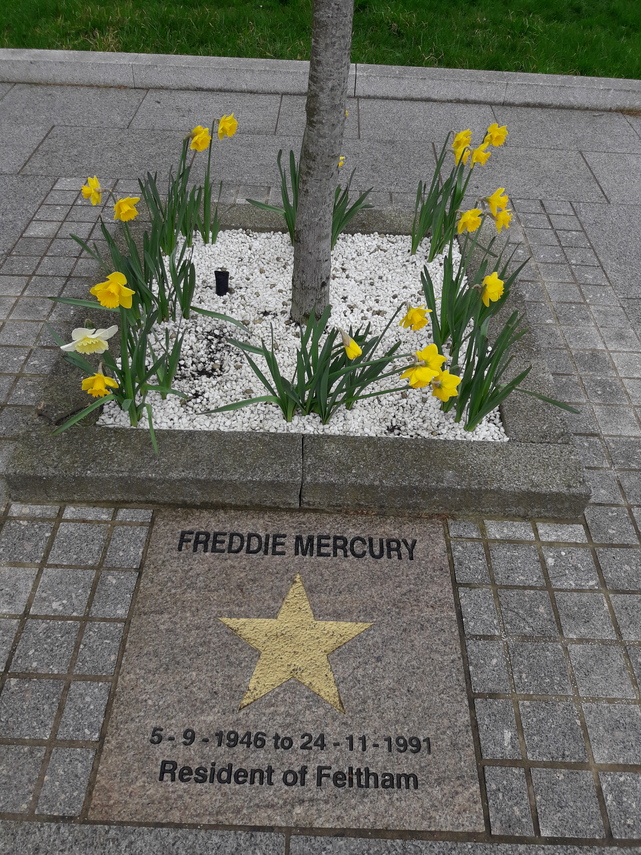 Freddie Mercury memorial gold star and Daffodils 