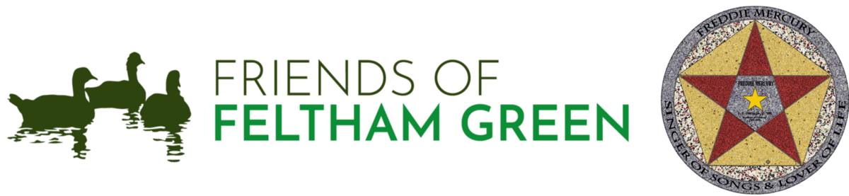 Friends of Feltham Green logo